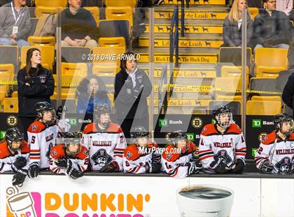 Thumbnail 3 in Canton vs. Wellesley (MIAA Division 2 Final) photogallery.