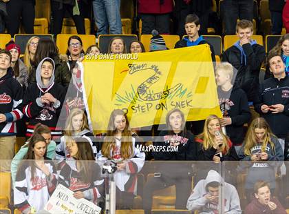 Thumbnail 3 in Canton vs. Wellesley (MIAA Division 2 Final) photogallery.