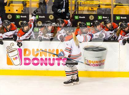 Thumbnail 3 in Canton vs. Wellesley (MIAA Division 2 Final) photogallery.