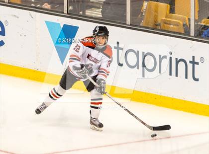 Thumbnail 2 in Canton vs. Wellesley (MIAA Division 2 Final) photogallery.