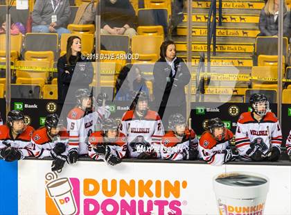 Thumbnail 2 in Canton vs. Wellesley (MIAA Division 2 Final) photogallery.