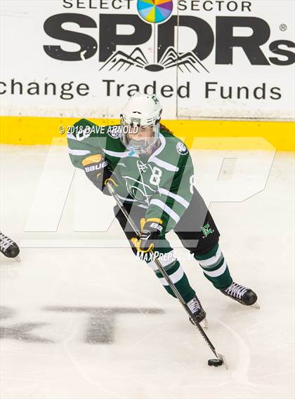 Thumbnail 2 in Canton vs. Wellesley (MIAA Division 2 Final) photogallery.