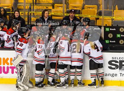 Thumbnail 1 in Canton vs. Wellesley (MIAA Division 2 Final) photogallery.