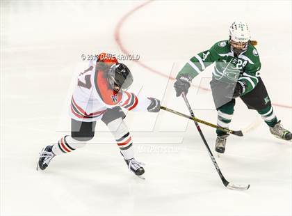 Thumbnail 2 in Canton vs. Wellesley (MIAA Division 2 Final) photogallery.