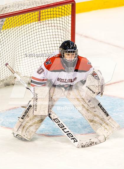 Thumbnail 2 in Canton vs. Wellesley (MIAA Division 2 Final) photogallery.