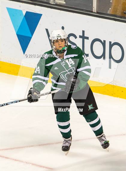 Thumbnail 2 in Canton vs. Wellesley (MIAA Division 2 Final) photogallery.