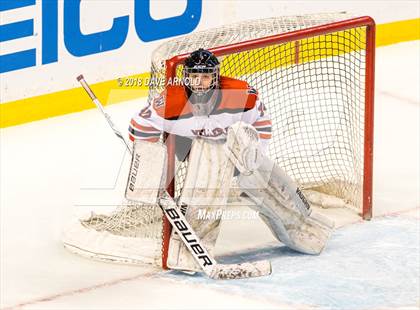Thumbnail 1 in Canton vs. Wellesley (MIAA Division 2 Final) photogallery.