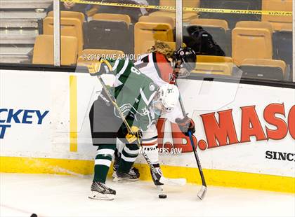 Thumbnail 2 in Canton vs. Wellesley (MIAA Division 2 Final) photogallery.