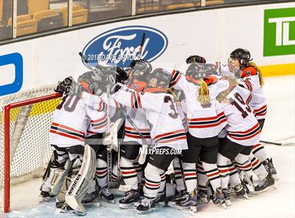 Thumbnail 2 in Canton vs. Wellesley (MIAA Division 2 Final) photogallery.