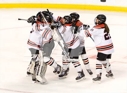 Thumbnail 2 in Canton vs. Wellesley (MIAA Division 2 Final) photogallery.