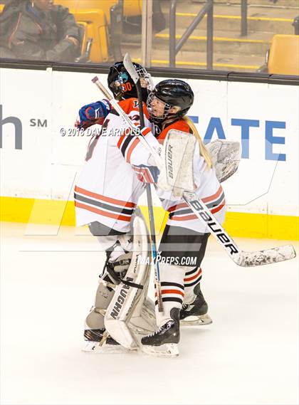 Thumbnail 2 in Canton vs. Wellesley (MIAA Division 2 Final) photogallery.