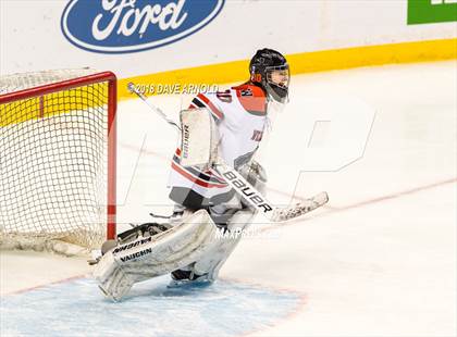 Thumbnail 3 in Canton vs. Wellesley (MIAA Division 2 Final) photogallery.