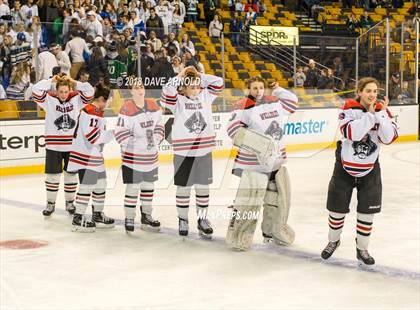 Thumbnail 3 in Canton vs. Wellesley (MIAA Division 2 Final) photogallery.