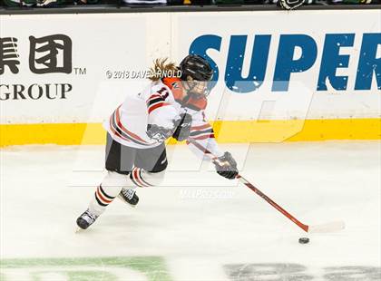Thumbnail 3 in Canton vs. Wellesley (MIAA Division 2 Final) photogallery.