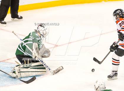 Thumbnail 1 in Canton vs. Wellesley (MIAA Division 2 Final) photogallery.