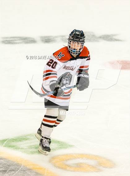 Thumbnail 2 in Canton vs. Wellesley (MIAA Division 2 Final) photogallery.