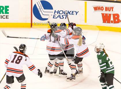 Thumbnail 2 in Canton vs. Wellesley (MIAA Division 2 Final) photogallery.