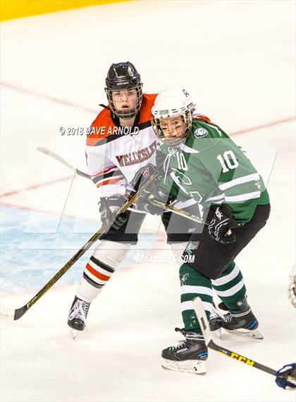 Thumbnail 1 in Canton vs. Wellesley (MIAA Division 2 Final) photogallery.
