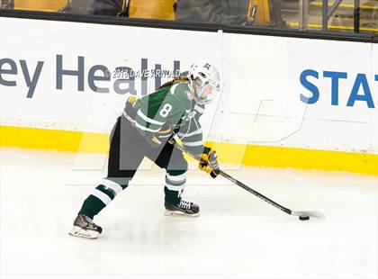 Thumbnail 2 in Canton vs. Wellesley (MIAA Division 2 Final) photogallery.