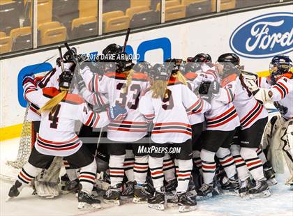 Thumbnail 1 in Canton vs. Wellesley (MIAA Division 2 Final) photogallery.