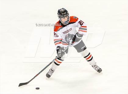 Thumbnail 1 in Canton vs. Wellesley (MIAA Division 2 Final) photogallery.