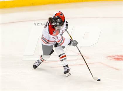 Thumbnail 2 in Canton vs. Wellesley (MIAA Division 2 Final) photogallery.