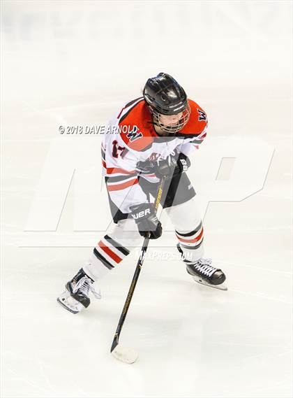 Thumbnail 3 in Canton vs. Wellesley (MIAA Division 2 Final) photogallery.
