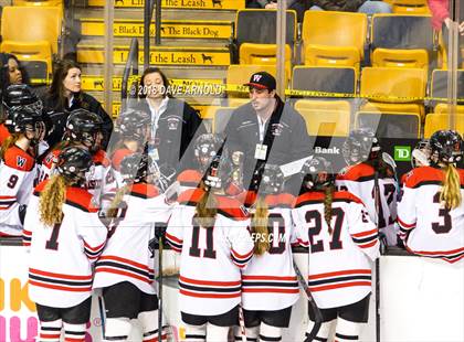 Thumbnail 1 in Canton vs. Wellesley (MIAA Division 2 Final) photogallery.