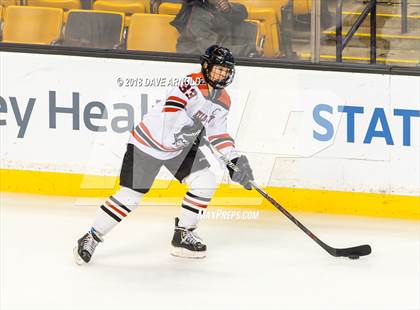 Thumbnail 1 in Canton vs. Wellesley (MIAA Division 2 Final) photogallery.