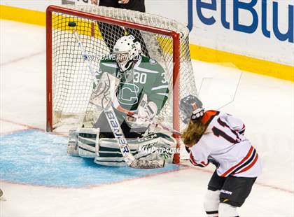 Thumbnail 3 in Canton vs. Wellesley (MIAA Division 2 Final) photogallery.