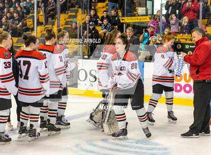 Thumbnail 2 in Canton vs. Wellesley (MIAA Division 2 Final) photogallery.