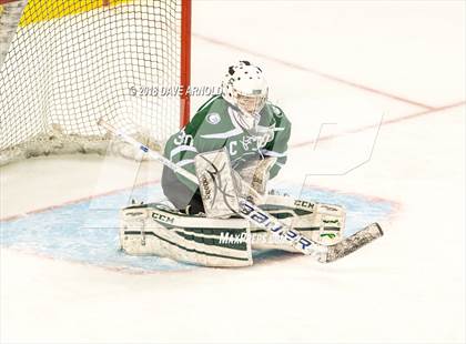 Thumbnail 3 in Canton vs. Wellesley (MIAA Division 2 Final) photogallery.