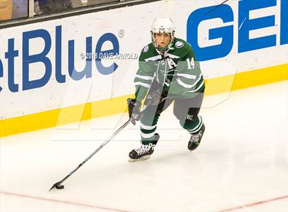 Thumbnail 2 in Canton vs. Wellesley (MIAA Division 2 Final) photogallery.