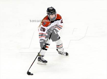 Thumbnail 3 in Canton vs. Wellesley (MIAA Division 2 Final) photogallery.