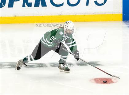 Thumbnail 1 in Canton vs. Wellesley (MIAA Division 2 Final) photogallery.