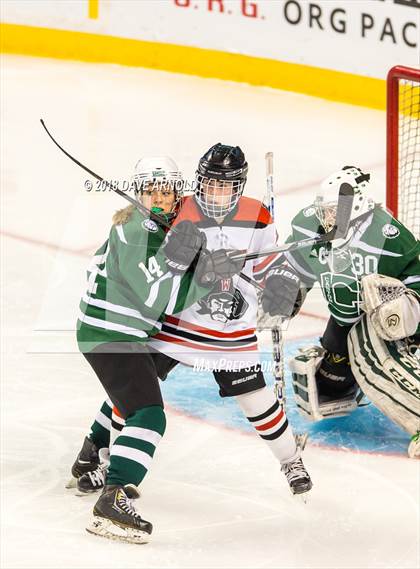 Thumbnail 1 in Canton vs. Wellesley (MIAA Division 2 Final) photogallery.