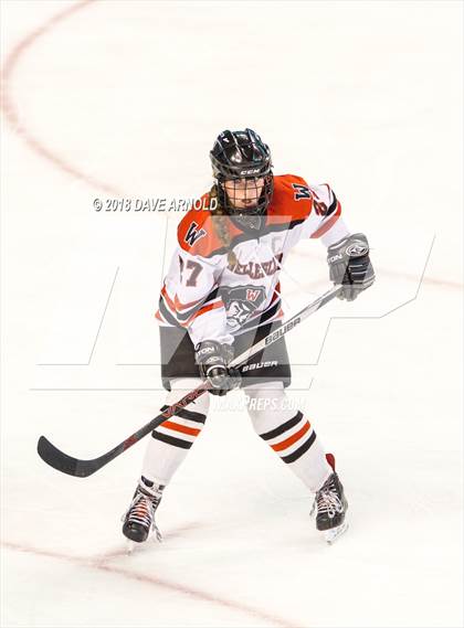 Thumbnail 2 in Canton vs. Wellesley (MIAA Division 2 Final) photogallery.