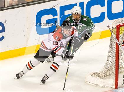 Thumbnail 1 in Canton vs. Wellesley (MIAA Division 2 Final) photogallery.