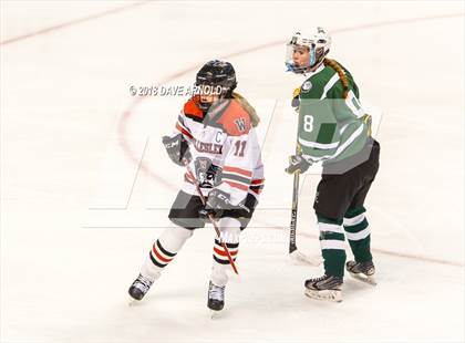 Thumbnail 3 in Canton vs. Wellesley (MIAA Division 2 Final) photogallery.