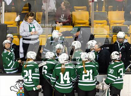 Thumbnail 3 in Canton vs. Wellesley (MIAA Division 2 Final) photogallery.