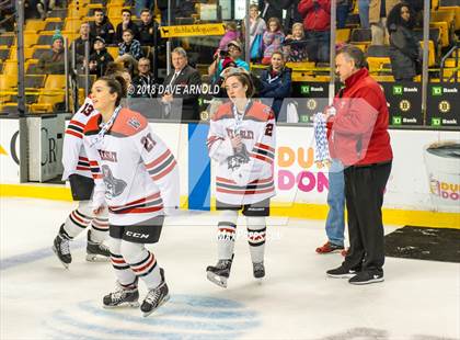 Thumbnail 3 in Canton vs. Wellesley (MIAA Division 2 Final) photogallery.