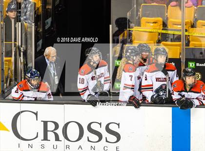 Thumbnail 2 in Canton vs. Wellesley (MIAA Division 2 Final) photogallery.