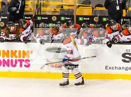 Thumbnail 2 in Canton vs. Wellesley (MIAA Division 2 Final) photogallery.