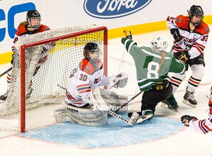 Thumbnail 3 in Canton vs. Wellesley (MIAA Division 2 Final) photogallery.