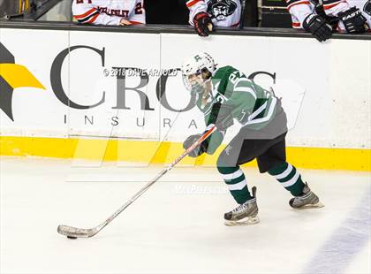 Thumbnail 2 in Canton vs. Wellesley (MIAA Division 2 Final) photogallery.