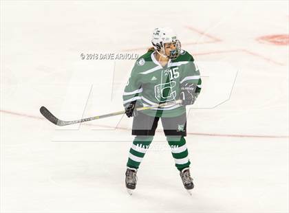 Thumbnail 1 in Canton vs. Wellesley (MIAA Division 2 Final) photogallery.