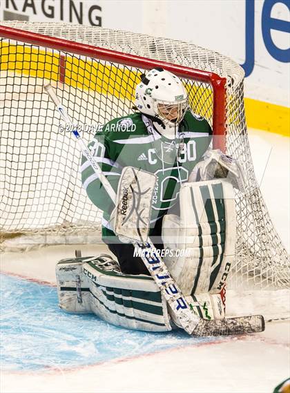 Thumbnail 3 in Canton vs. Wellesley (MIAA Division 2 Final) photogallery.