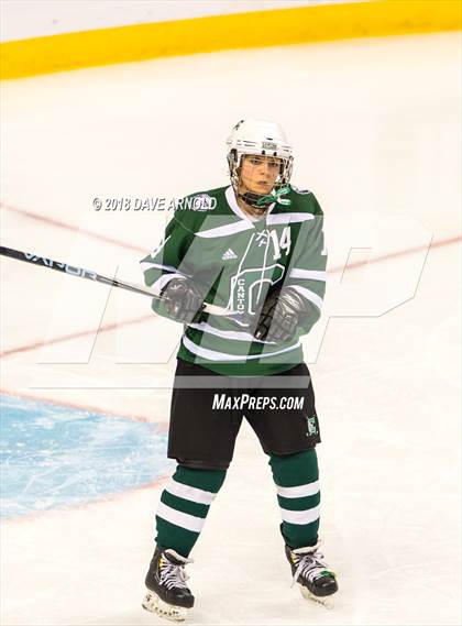 Thumbnail 3 in Canton vs. Wellesley (MIAA Division 2 Final) photogallery.