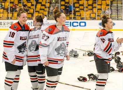 Thumbnail 2 in Canton vs. Wellesley (MIAA Division 2 Final) photogallery.