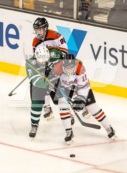 Thumbnail 3 in Canton vs. Wellesley (MIAA Division 2 Final) photogallery.
